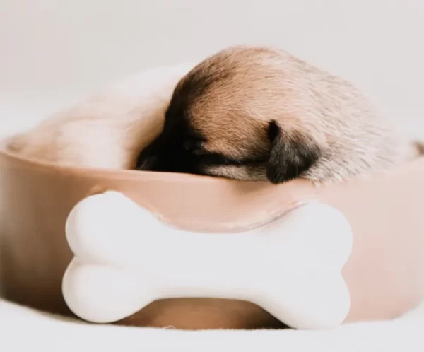product-thumb-7_optimized Cama Hug Bone