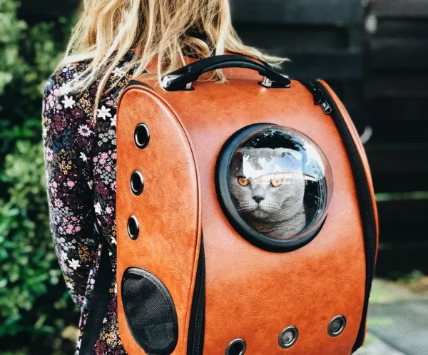raoul-droog-Ea8rP2Ebp_4-unsplash_optimized Mochila Transportadora para Gato