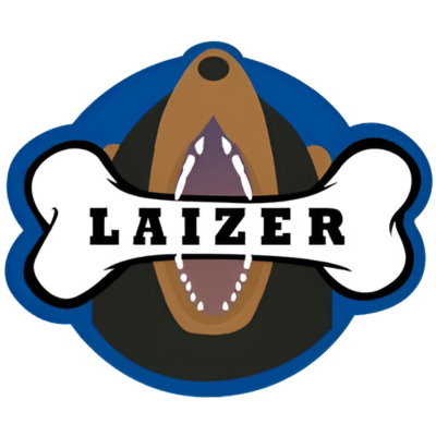 Laizer